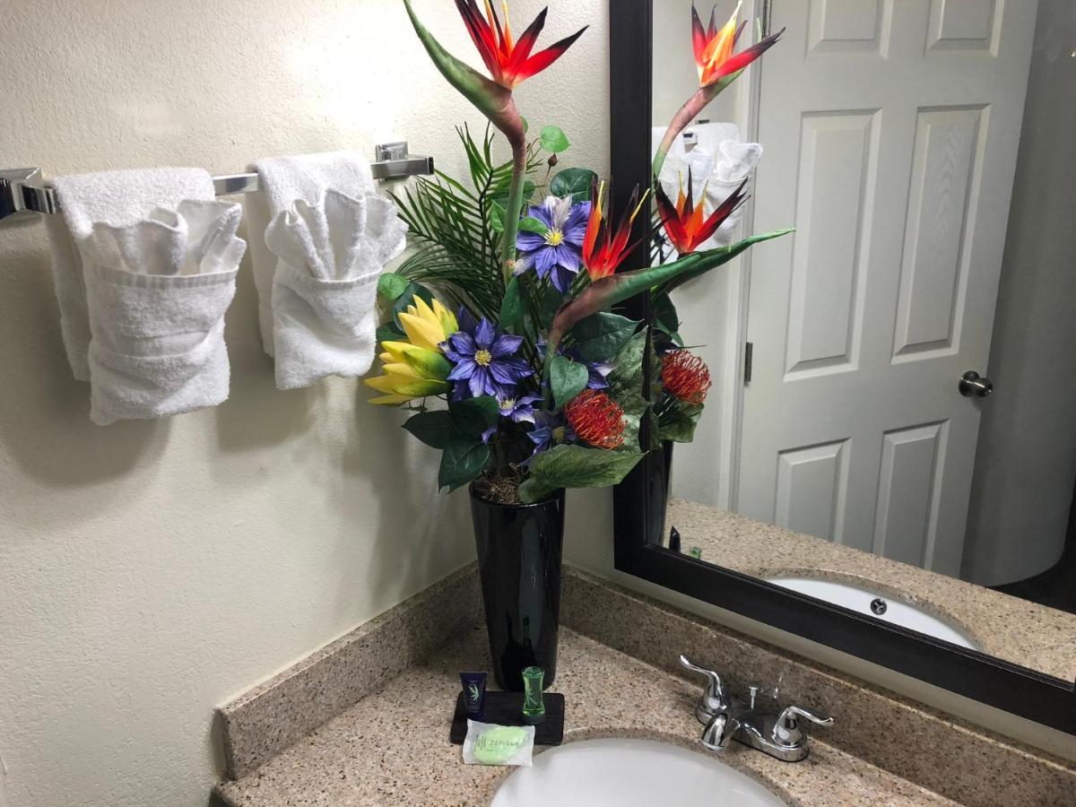 Econo Lodge Choice Hotels I 95 Savannah Gateway 24 Hour Fitness Center On Site Guest Laundry On Site Perkins Restaurant Georgetown Exterior photo